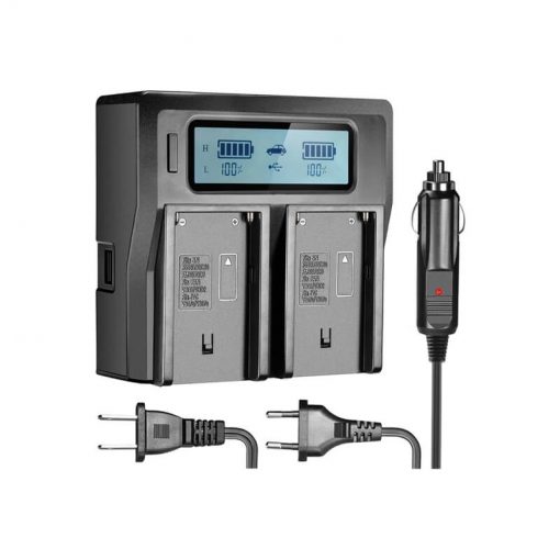 Power Supply for MECHA: Dual-Channel Charger With LCD Display & 2 NP-F550 Type Batteries (F9939)